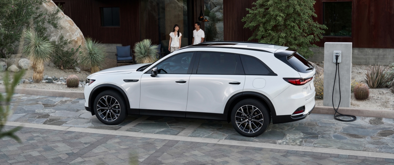 Fuel Efficiency and the Joy of Driving