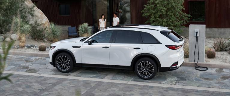 Fuel Efficiency and the Joy of Driving