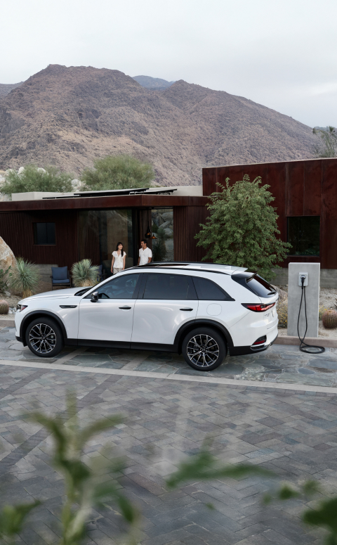 Fuel Efficiency and the Joy of Driving