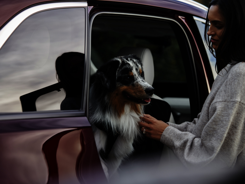 Road Tripping with Dogs – Mazda CX-90 SUV Road Tripping with Dogs – Mazda CX-90 SUV