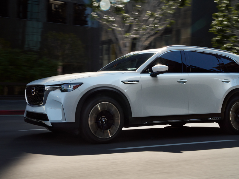 Why Are My Brakes Squeaking – Article